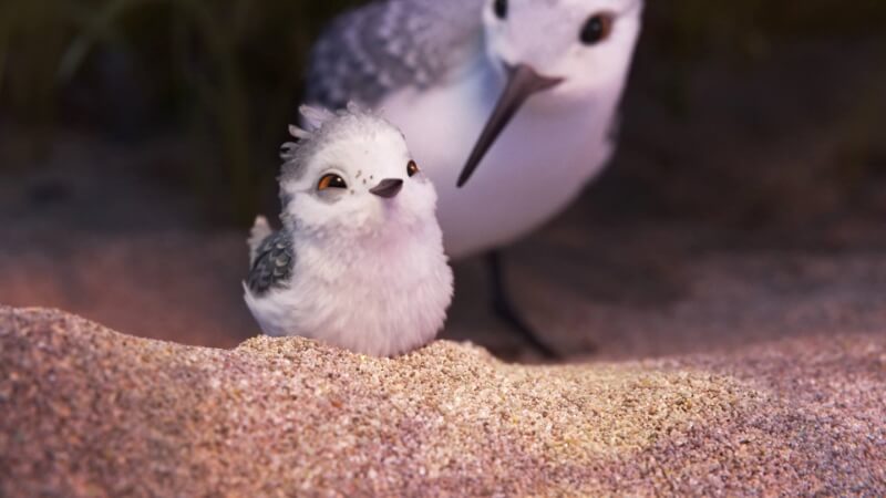 Piper, an animated short, plays before Finding Dory. Definitely worth a watch!