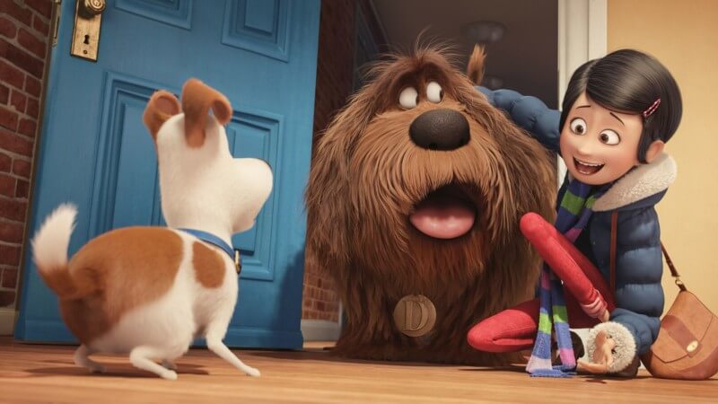The Secret Life of Pets Opens July 8