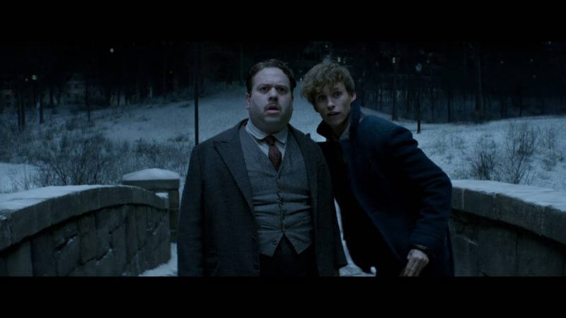Fantastic Beasts and where to find them