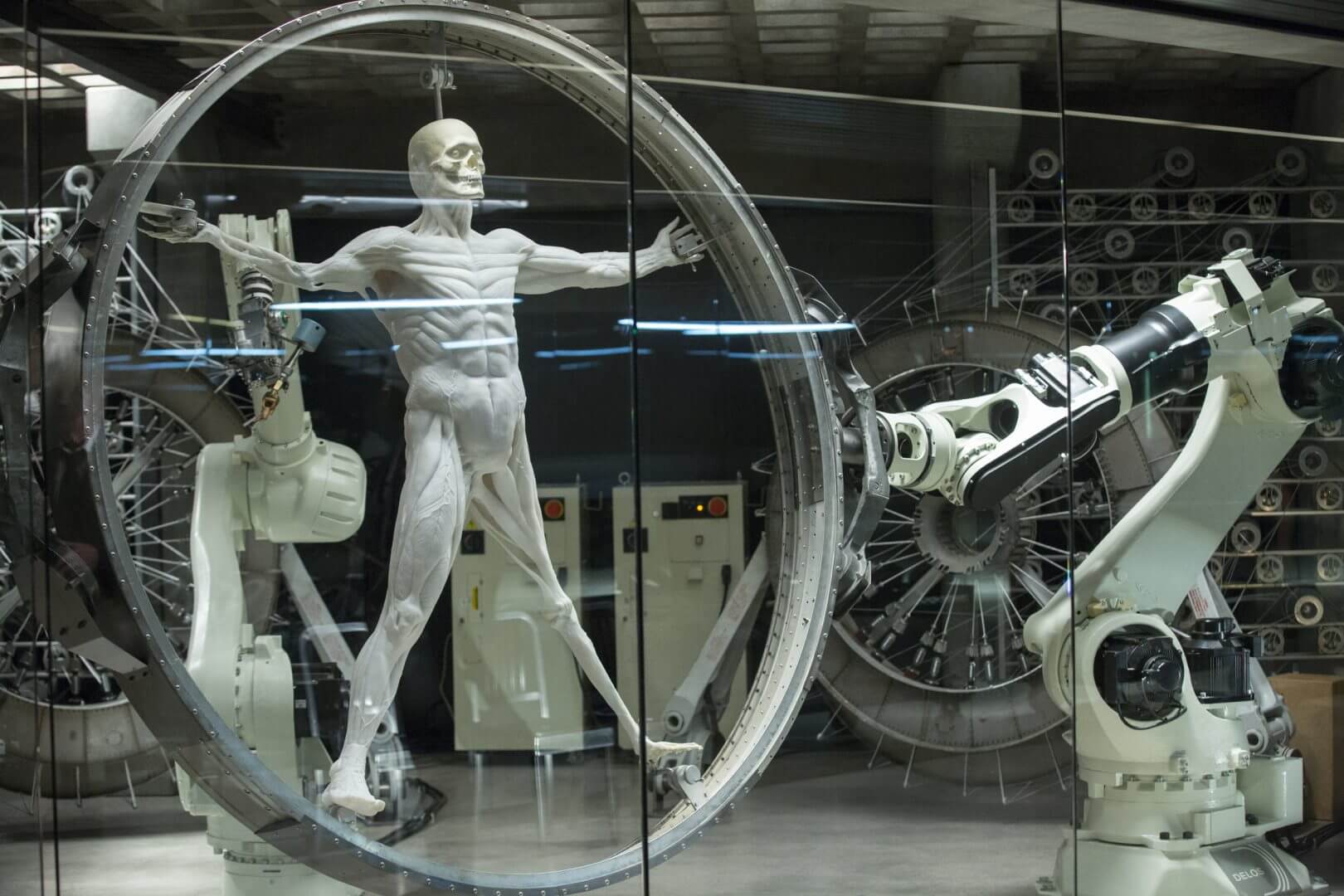 Milk robot. That's what is coming.