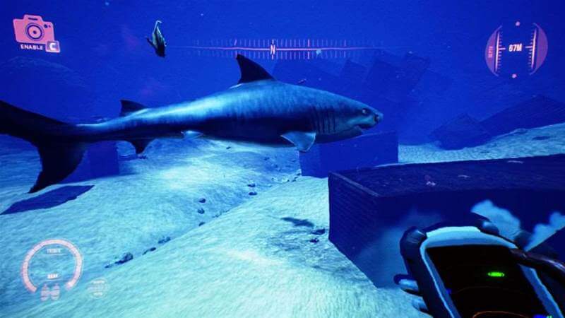 Iron Fish Shark
