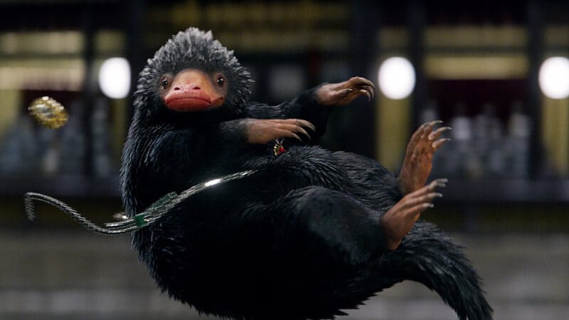 Niffler
