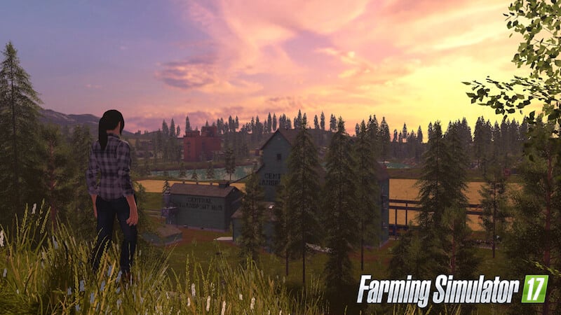 The forest looks okay until you start to look at the trees