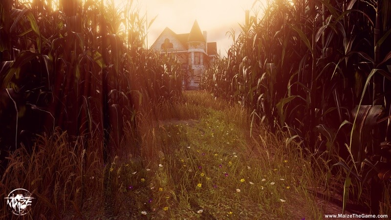 Maize House