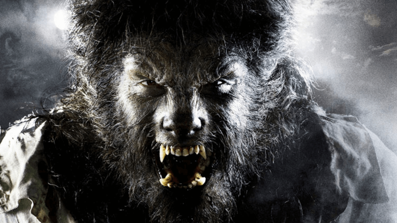 Dwayne Johnson is the Frontrunner for Dark Universe’s Wolfman