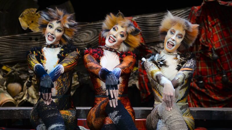 cats