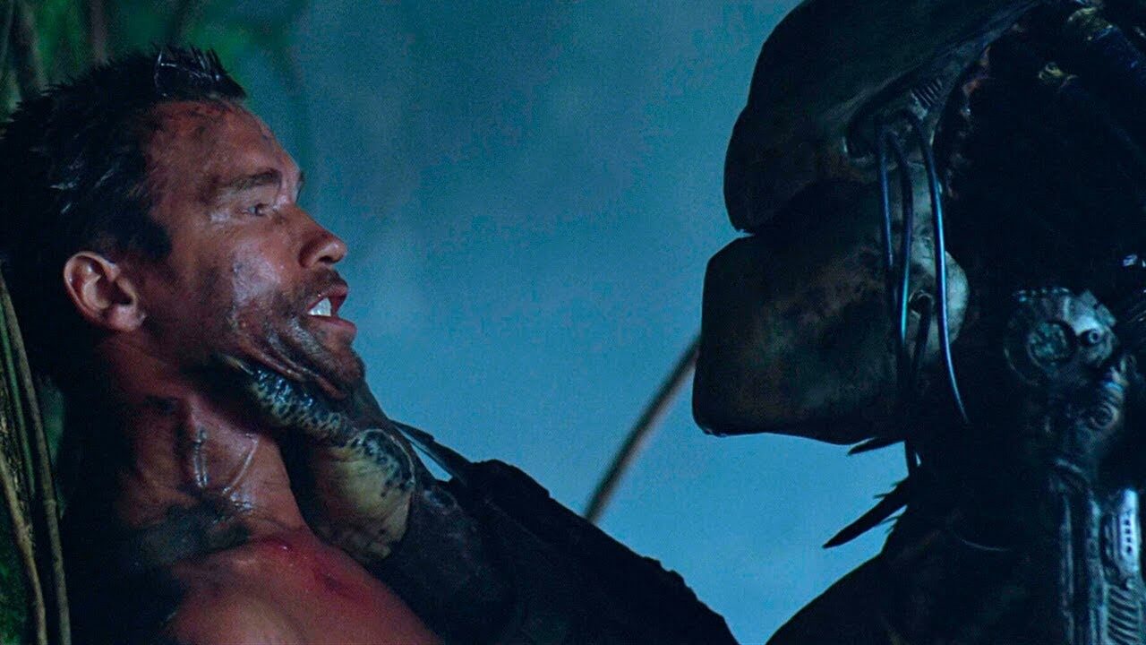 Predator