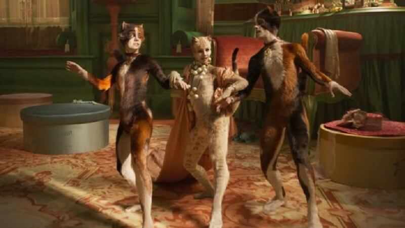 cats
