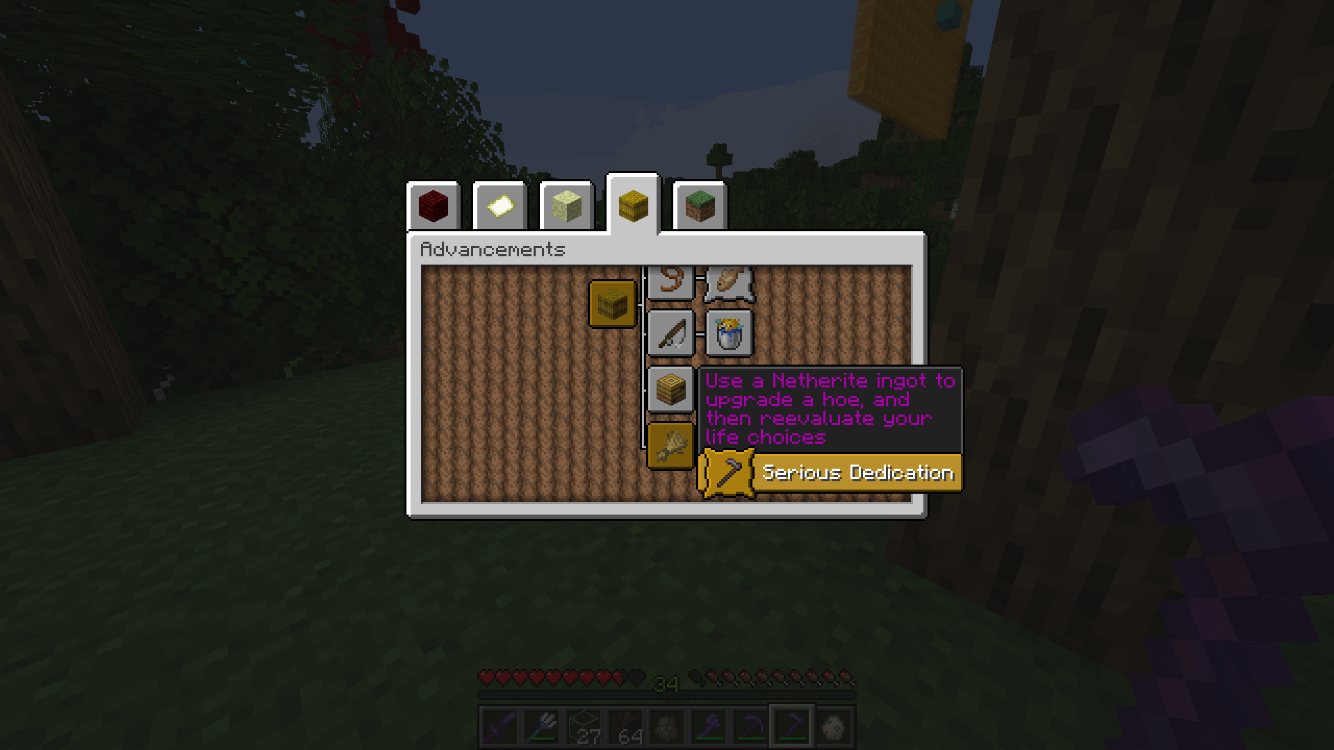 minecraft serious dedication