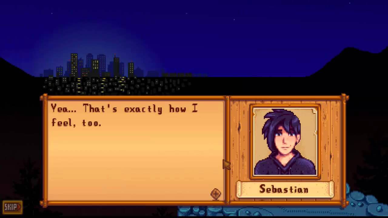 sebastian stardew valley