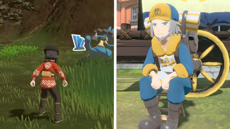 Pokémon Legends Arceus How to Get Peat Block