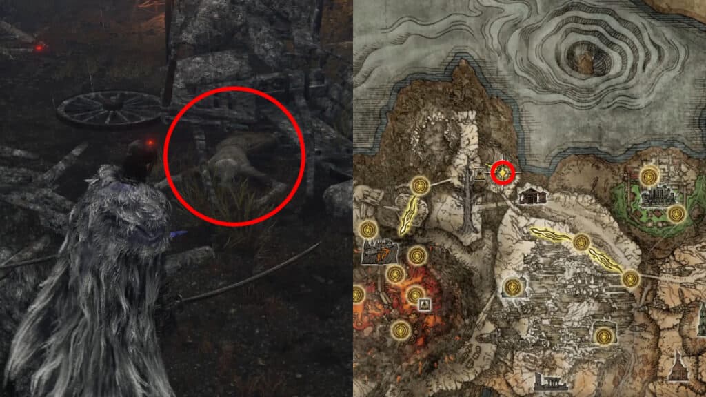 The Scavenger's Curved Sword's location in Elden Ring.