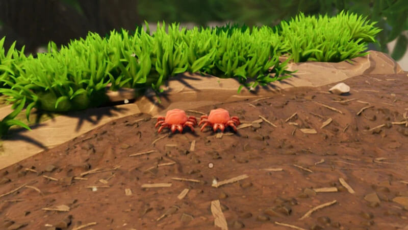 Grounded: Where to Find Mite