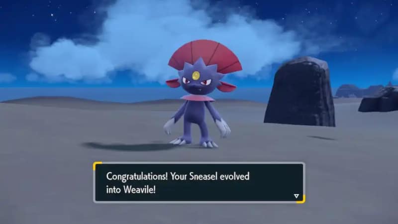 Weavile Wattrel counter