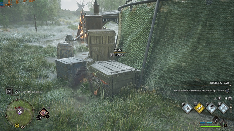 Hogwarts Legacy: How to Complete the Kidnapped Cabbage Side Quest