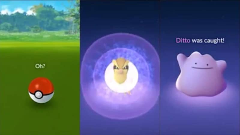 Ditto Pokemon Go