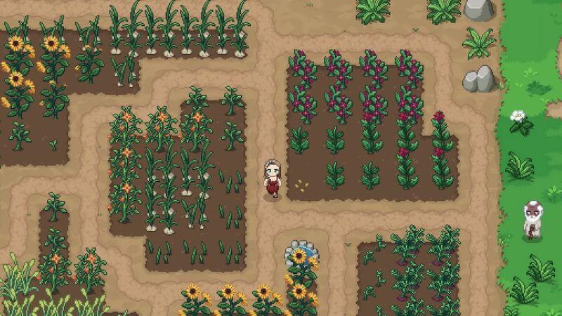 farming roots of pacha