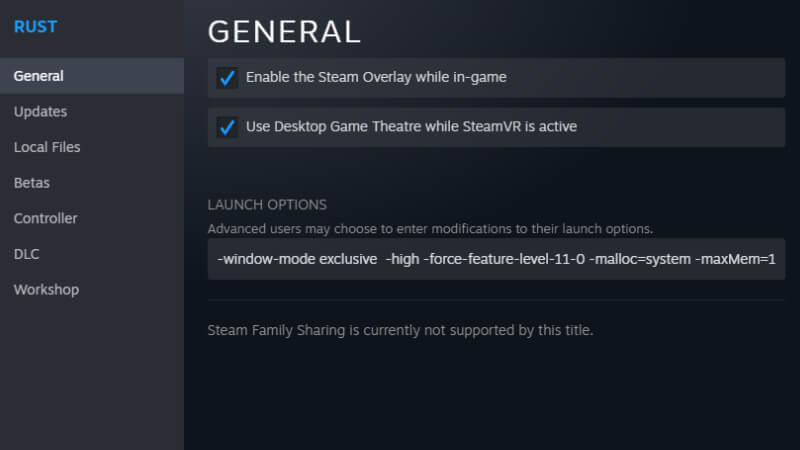 Rust launch options