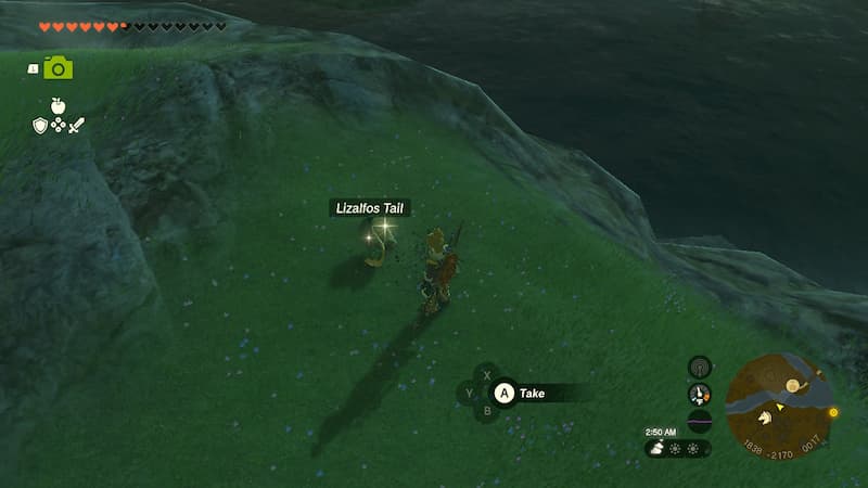 Lizalfos Tails Zelda Tears of the Kingdom Lizalfos Drops