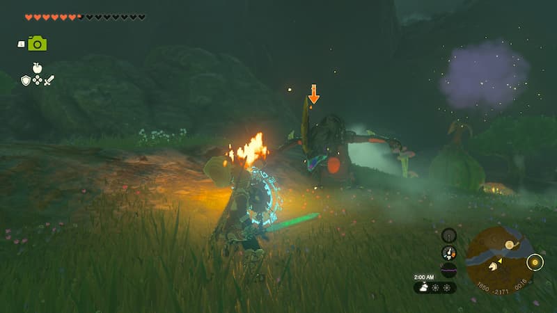 Lizalfos Tails Zelda Tears of the Kingdom Lizalfos