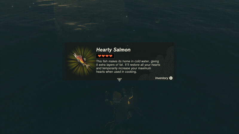 hearty-salmon-in-zelda-tears-of-the-kingdom