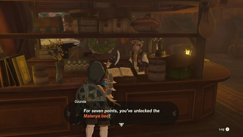 pony points sleepover ticket zelda