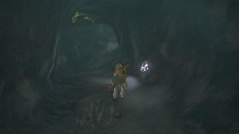 Where to find Brightcaps inside caves and wells.
