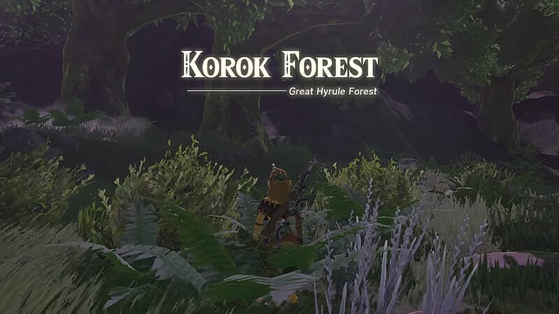 How To Get to the Great Deku Tree