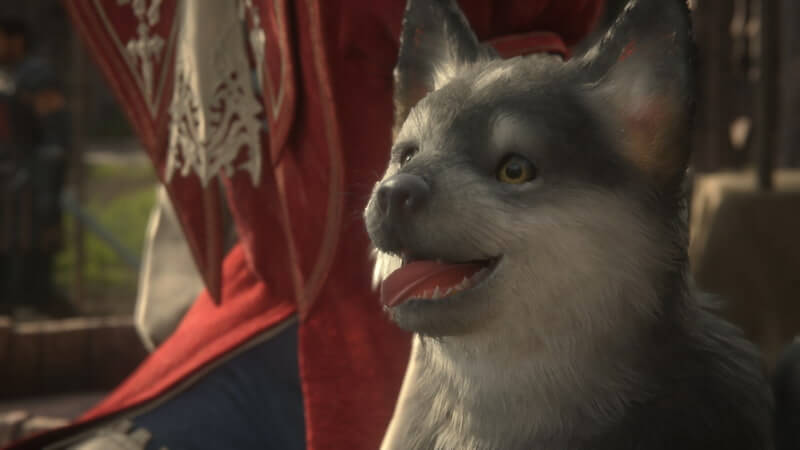 ff16 torgal