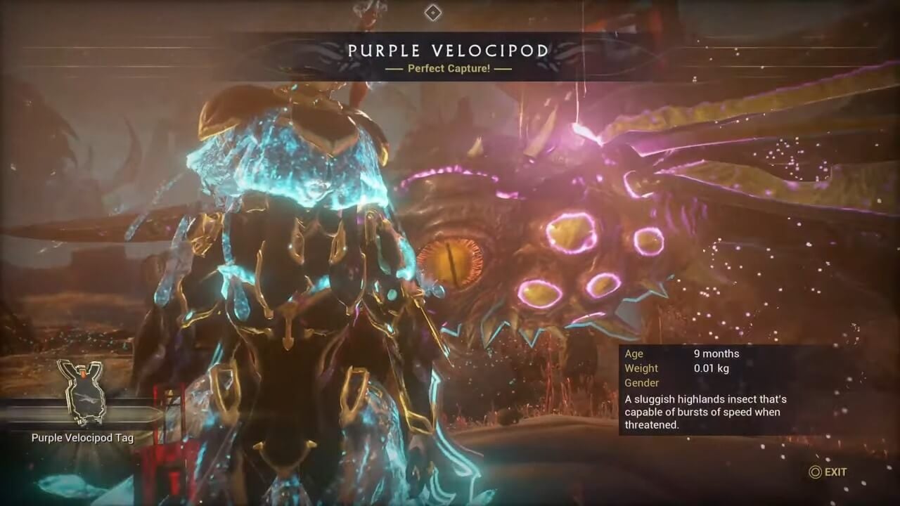Where To Find Purple Velocipods in Warframe