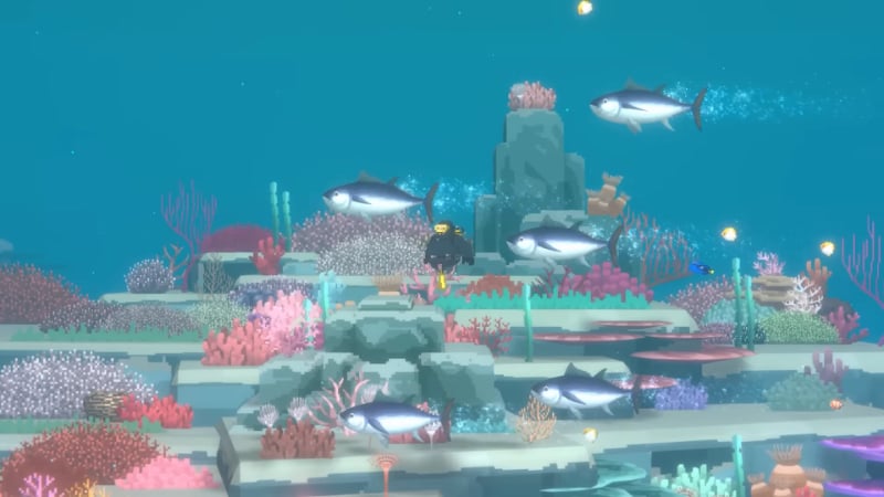 Blue Hole Fish