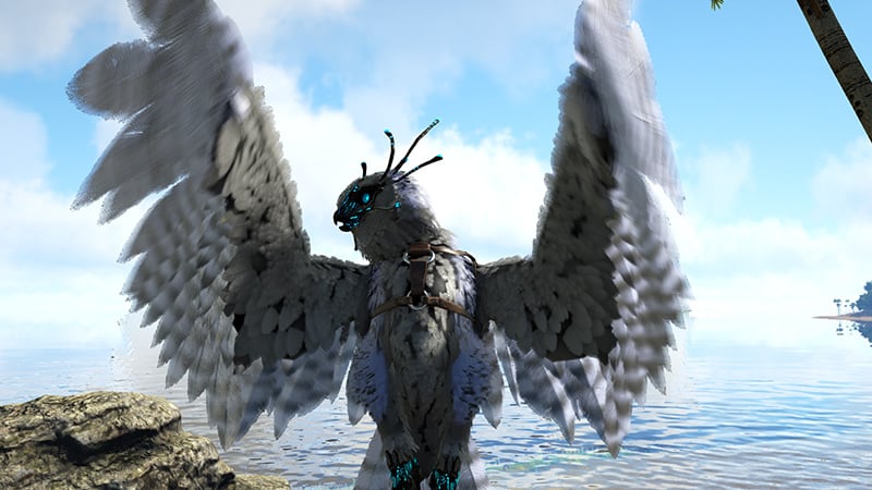 Snow Own PvP Healer