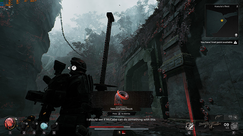 Kailua's Shadow boss reward in Remnant 2