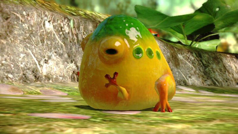 Although dangerous, the Wollywog is adorable.