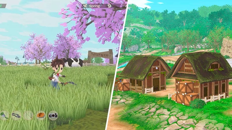 Where to Get Fodder in Story of Season A Wonderful Life