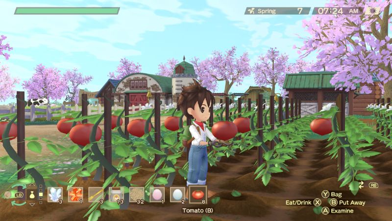 Story of Seasons A Wonderful Life: Growing Crops