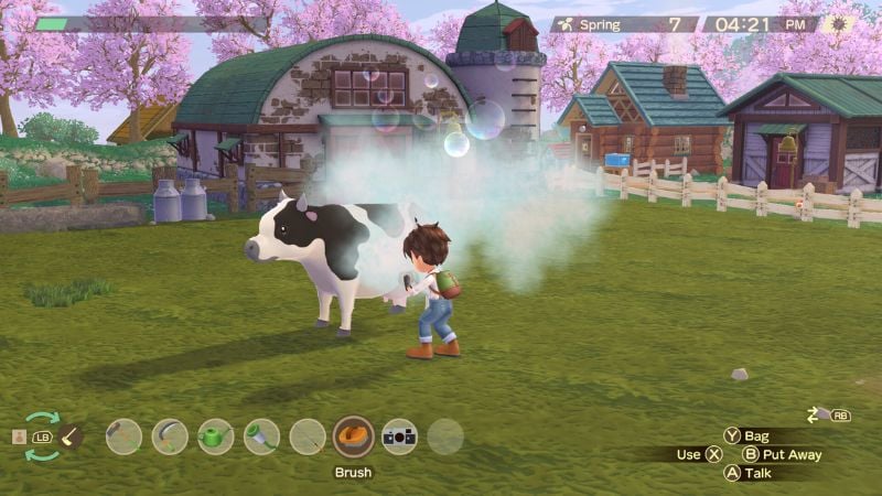 Story of Seasons a Wonderful Life: Animal