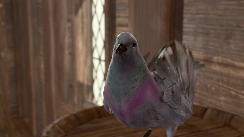 Pigeon Commander