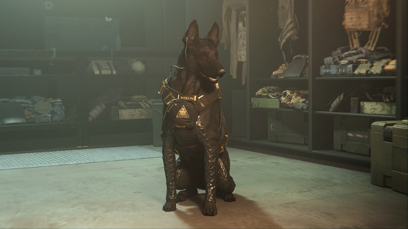 Merlin the dog - Season 5 Blackcell