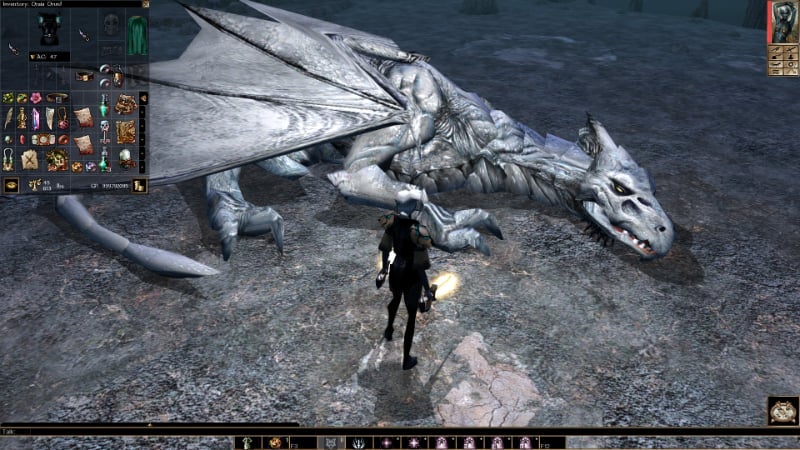 The player faces a White Dragon in Neverwinter Nights, a game similar to Baldur's Gate 3 by Larian Studios