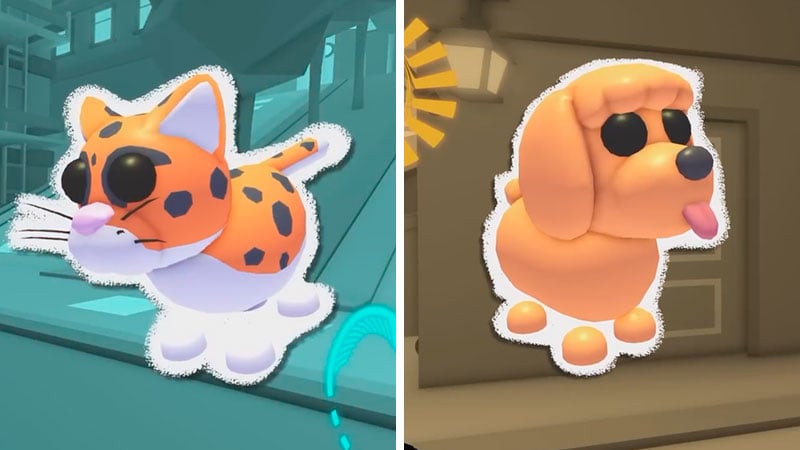 Rare Urban Egg Pets