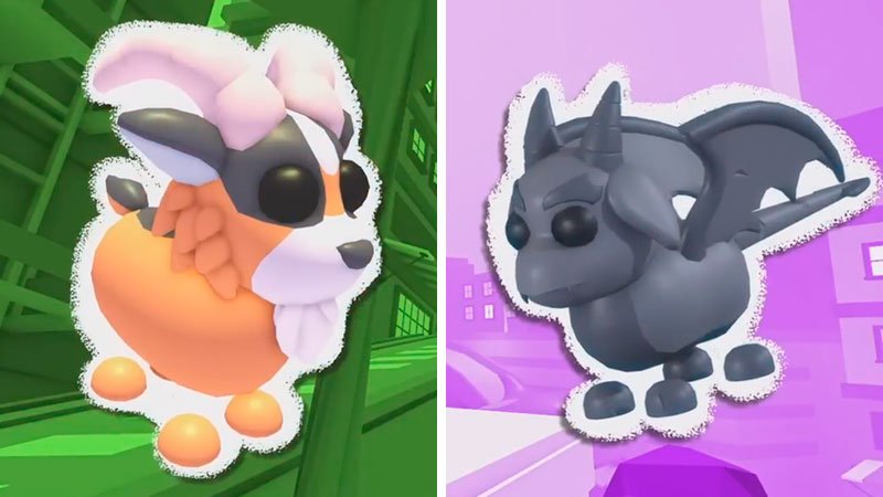 Legendary Urban Egg Pets