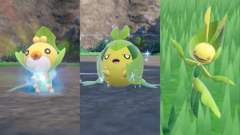 sewaddle swadloon and leavanny pokemon scarlet and violet teal mask