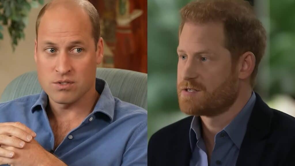 Prince William and brother Prince Harry