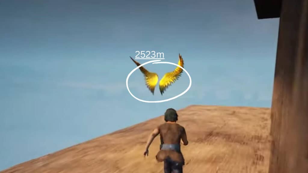 all wings