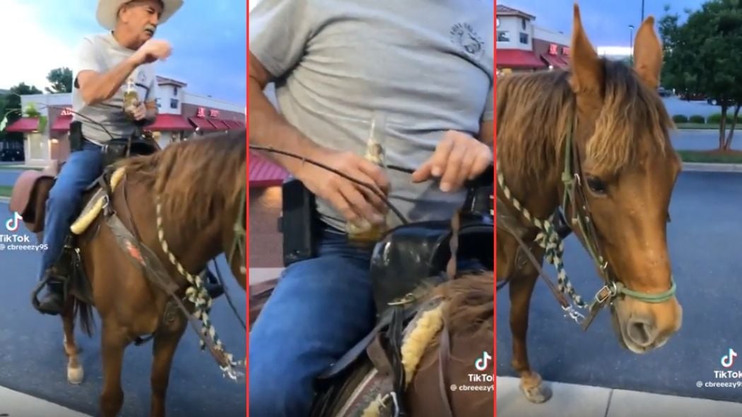 Man Drops Interesting Knowledge About North Carolina Law and Horses: ‘Had To Look It Up, He’s Right’