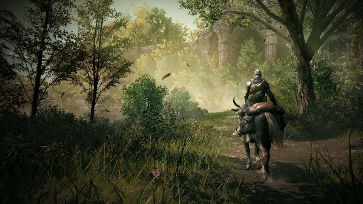 As Expected, No One Is Happy With Shadow of the Erdtree Getting a GOTY 2024 Nomination