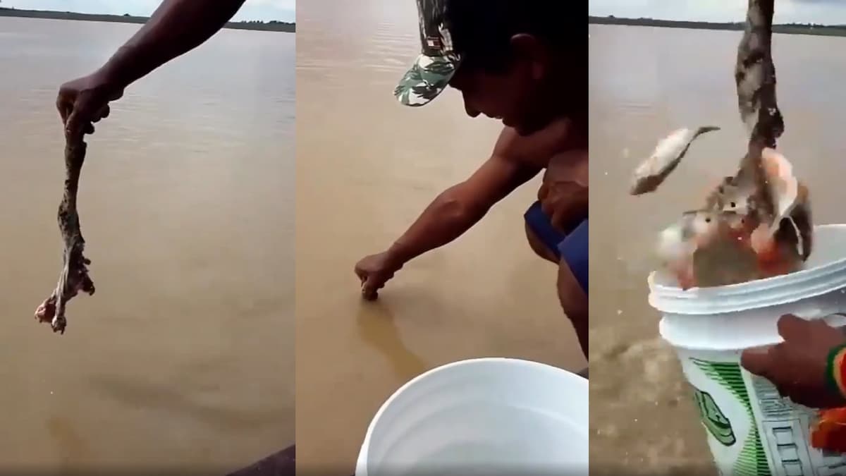 This Terrifying Fishing Technique Will Trigger Your Piranha Complex: ‘Imagine Losing Your Balance’