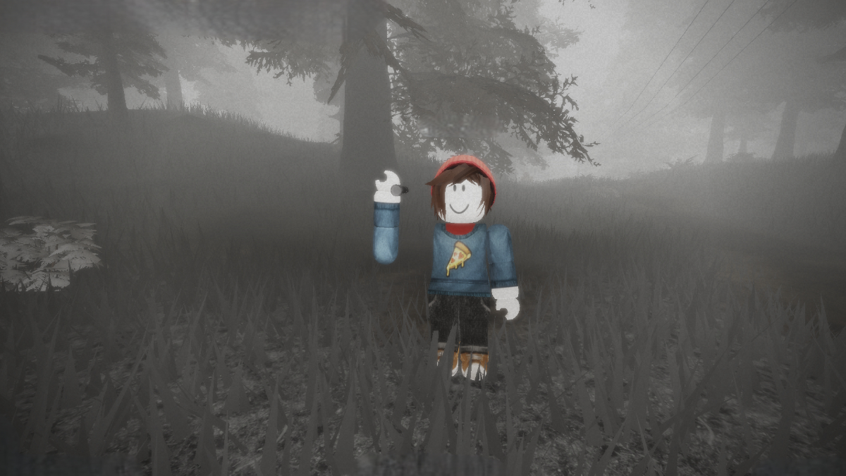 The Skinwalker Roblox Codes (December 2024)