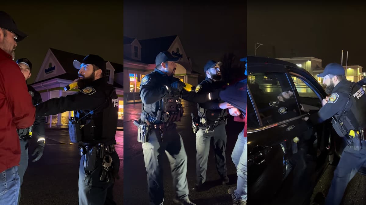 Police Slammed For of Overreach After Driver Pulled From Car and Tasered: ‘You Lost Your Job’